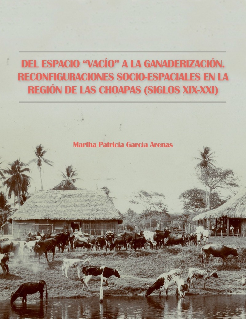  Del espacio “vacío” a la ganaderización. Reconfiguraciones socio-espaciales en la región de Las Choapas. (Siglos XIX-XXI)